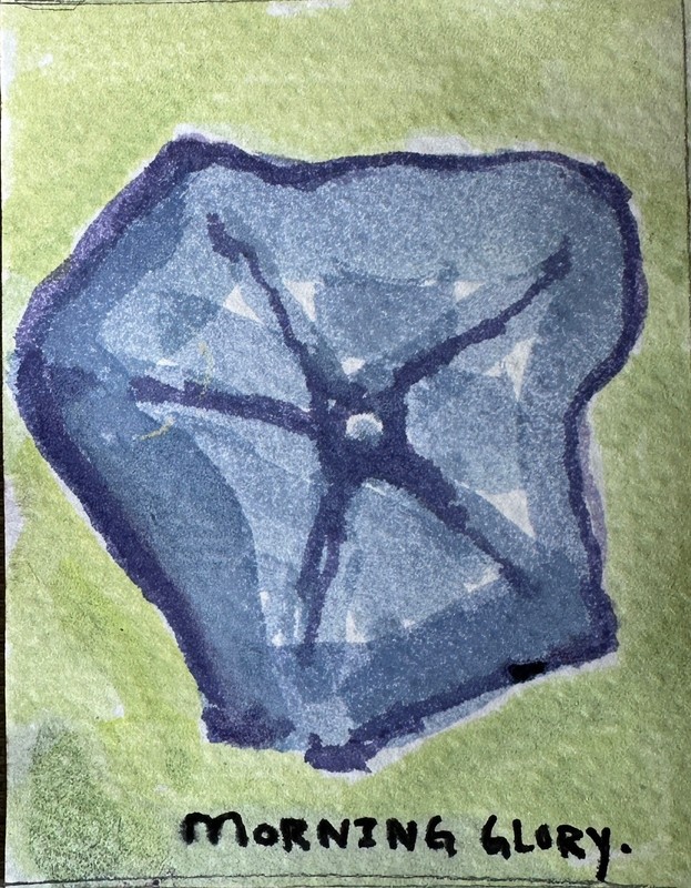 ACEO Original Watercolor Morning Glory Flower Art by Bri Sander 3.5 x 2.5 OOAK
