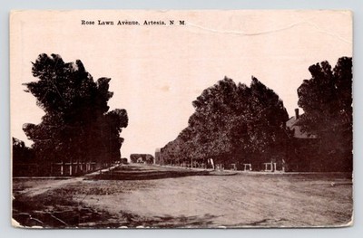 View of Tree Lined Rose Lawn Avenue Artesia New Mexico NM c1911 DB Postcard