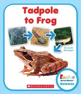 Tadpole to Frog (Rookie Read-About Science (Paperback)) - Paperback - VERY GOOD