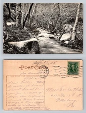 Coldwater Canyon, CA-California, Stream Forest Fisherman Vintage c1908 Postcard