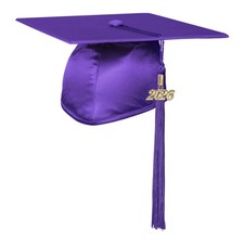 Endea Graduation Shiny Adult Purple Cap Tassel High School and College