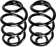 2x Federn Fahrwerksfeder Hinterachse für Renault Clio III BR0/1 CR0/1 BJ 2010-14