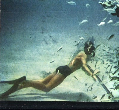 Skin diving i.the crystal waters of the Virgin Islands
