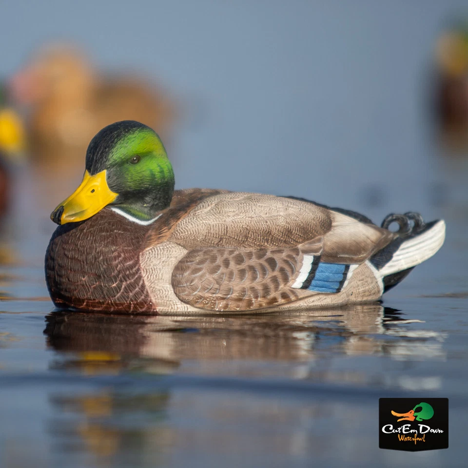 AVERY GREENHEAD GEAR GHG XD SERIES PG MALLARD DUCK DECOYS HARVERSTER PACK 12 - Image 4 of 4