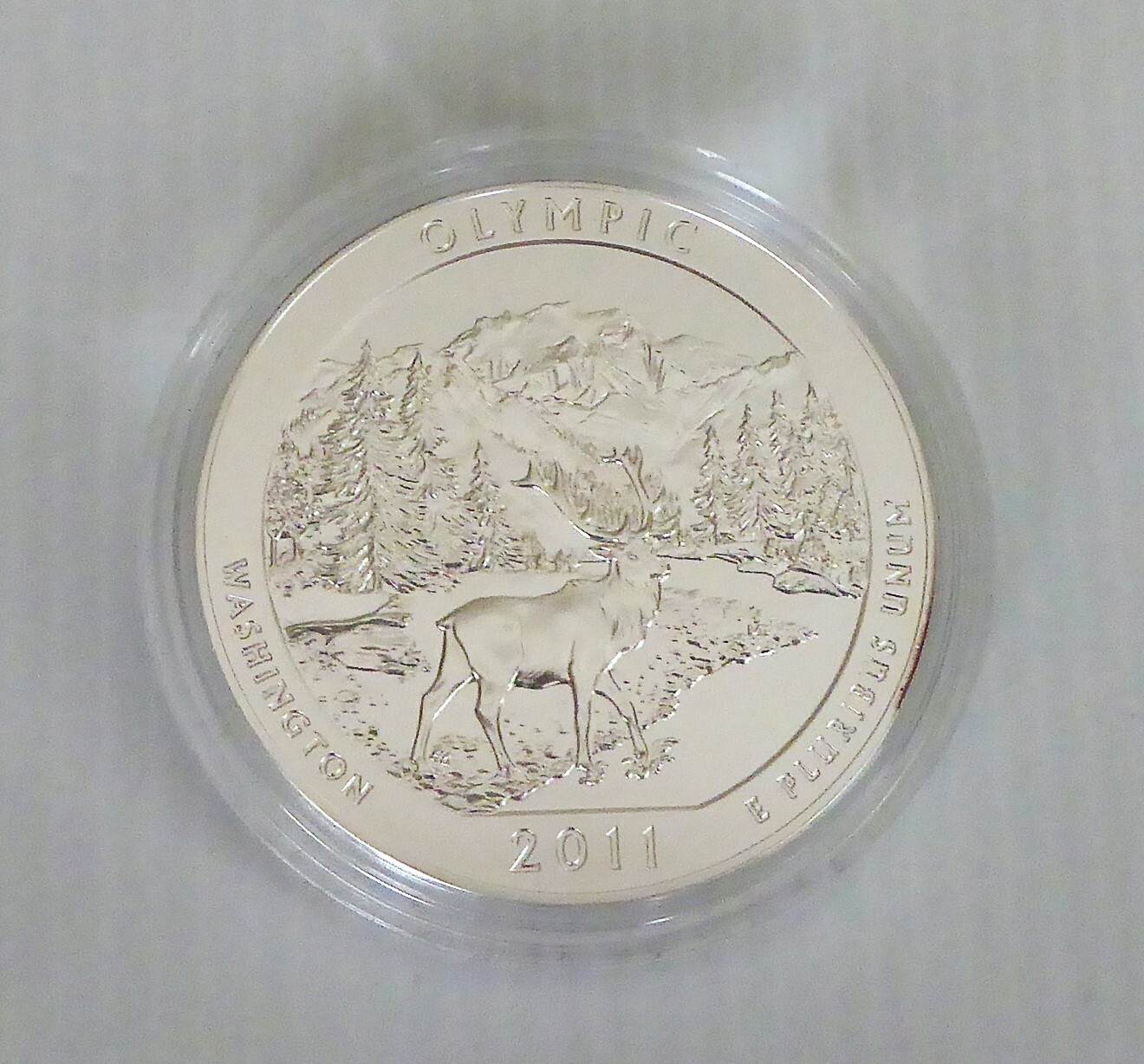 Picture 4 of 5