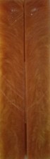 Sparkle Gold Acrylester 06 2 pc Knife Scales 3/16" x 3/4" x 5" - 2169