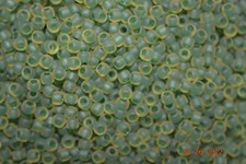 Toho Seed Beads - 8/0 - Inside Frosted Jonquil/Emerald Lined