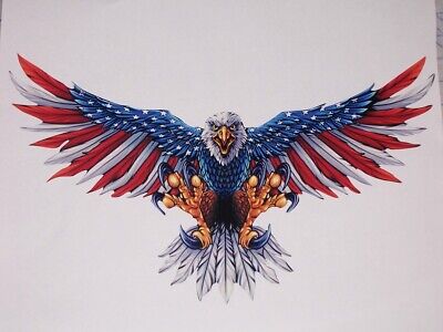 Angry Attack Eagle American Flag Sky Circle decal Sticker Angry Attack Eagle American Flag Sky Circle decal Sticker