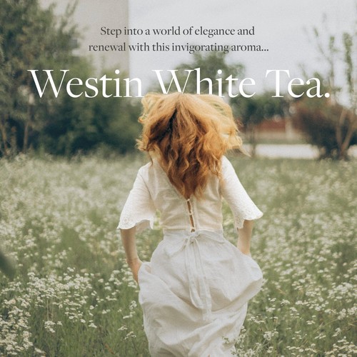 White Tea Home Diffuser Refill Cartridge - Authentic Hotel Fragrance - Signat... - 第 4/9 張圖片