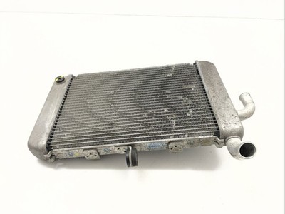   Yamaha X-max 300 Tech Max Sp 2023 - 2024 Radiator  