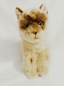 webkinz signature cat