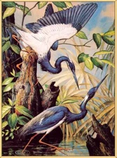 handpainted art Oil painting Louisiana Heron on canvas Home office wall Decor