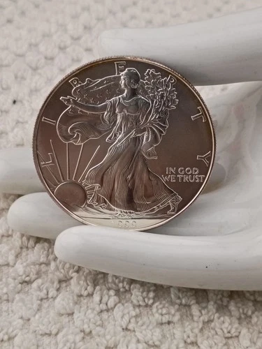 1999 American Eagle Walking Liberty One Ounce Fine Silver Coin Ex Fine