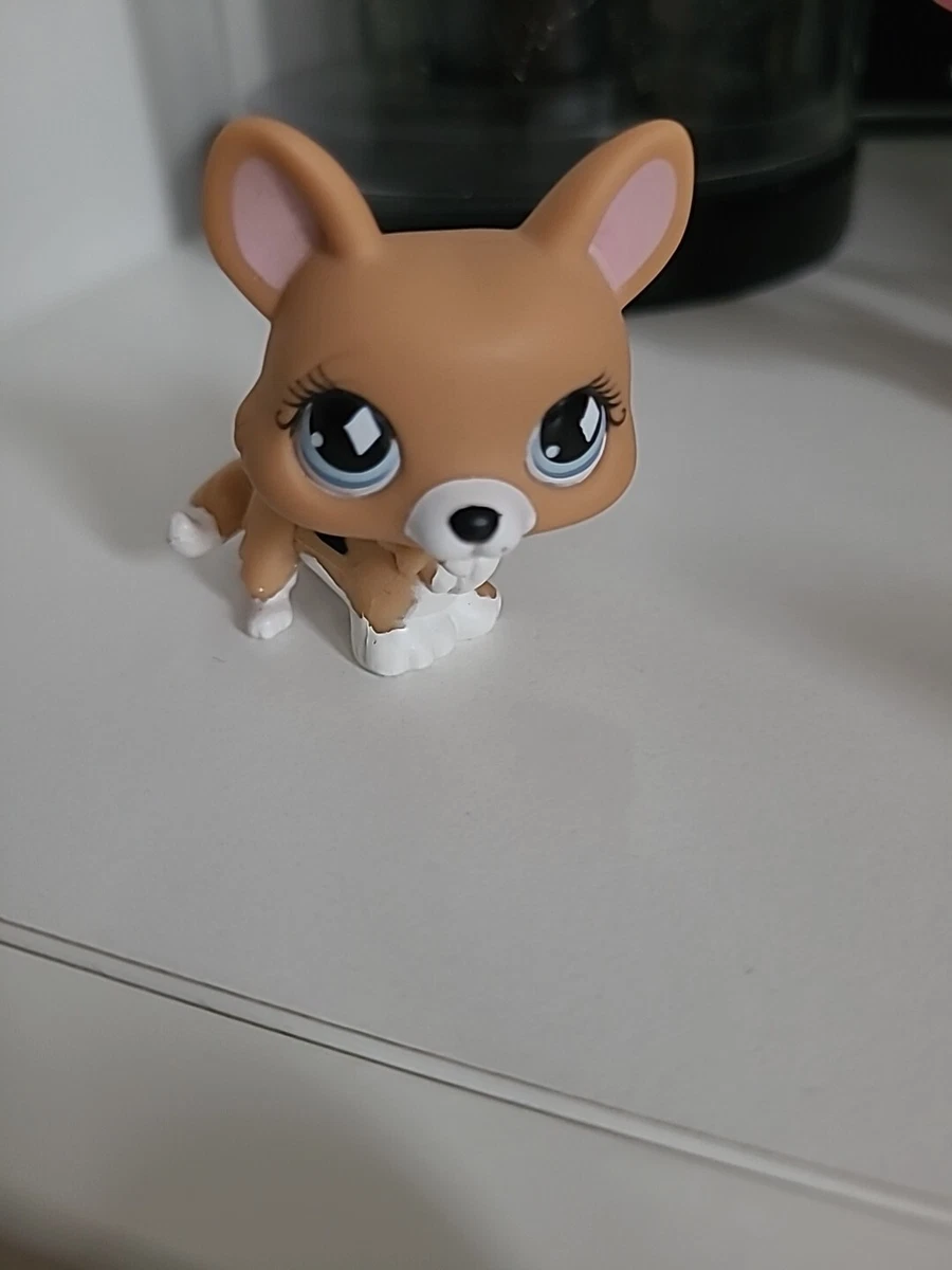 LPS CORGI LITTLEST PET SHOP Authentic