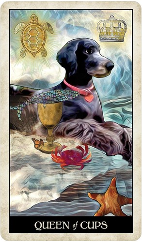 Wise Dog Tarot Card Deck! - Picture 7 of 11
