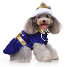 NEW! Prince Charming Dog Pet Costume Blue Velvet With Crown XL For Smaller Dogs 