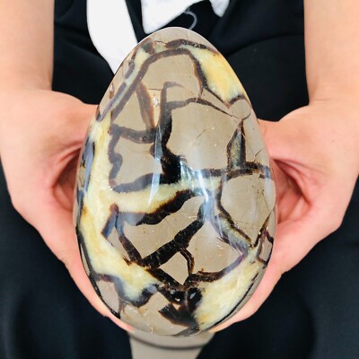 3.74LB Natural Septarian Dragon Stone Crystal Egg Quartz Healing Decoration