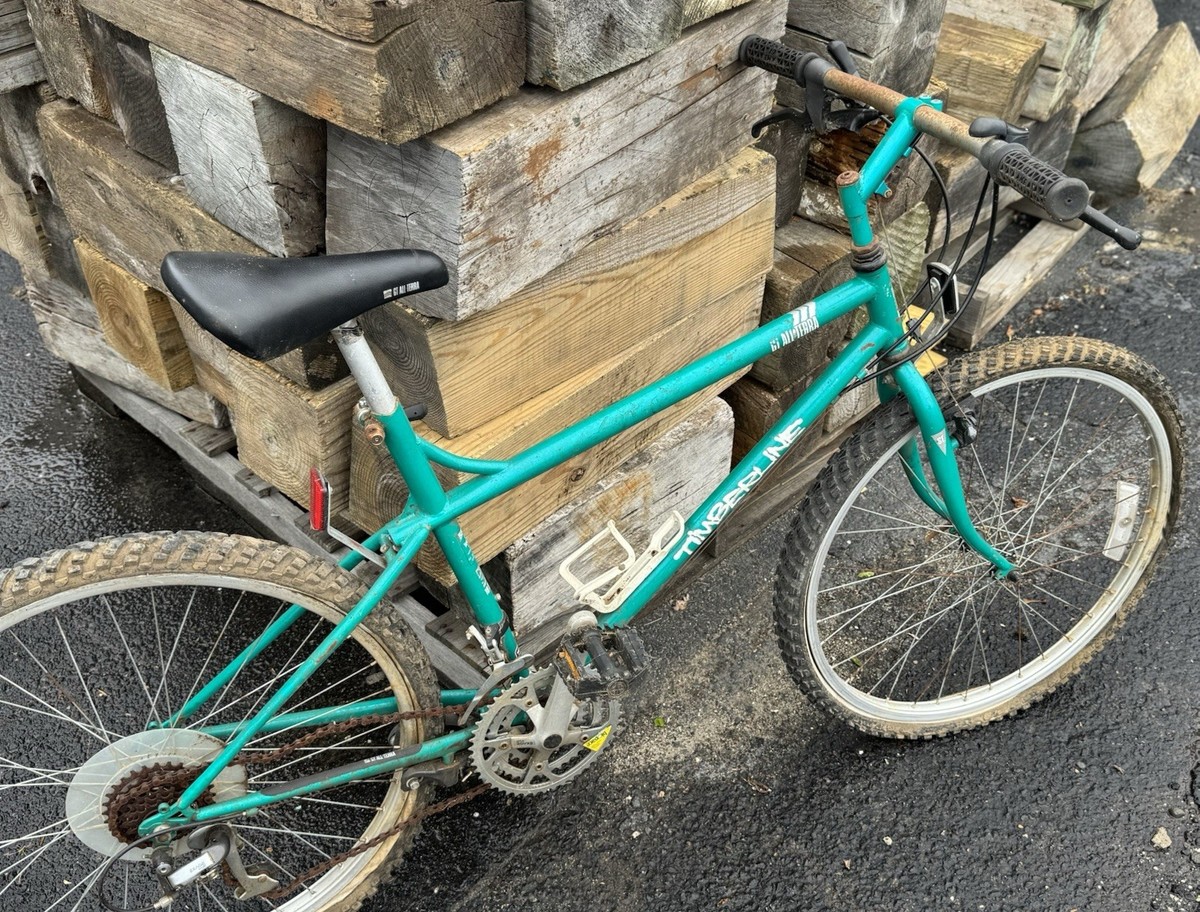 Vintage GT All Terra Timberline MTB 26” Steel Chromoly Shimano