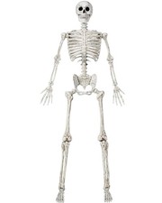 JOYIN 6.9 FT Halloween Posable Life Size Skeleton Full Body Realistic Skeleto...