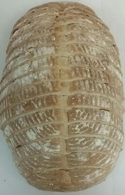 Black Bull Sourdough Boule Bread Pack of 2 (Rounds 24 oz)