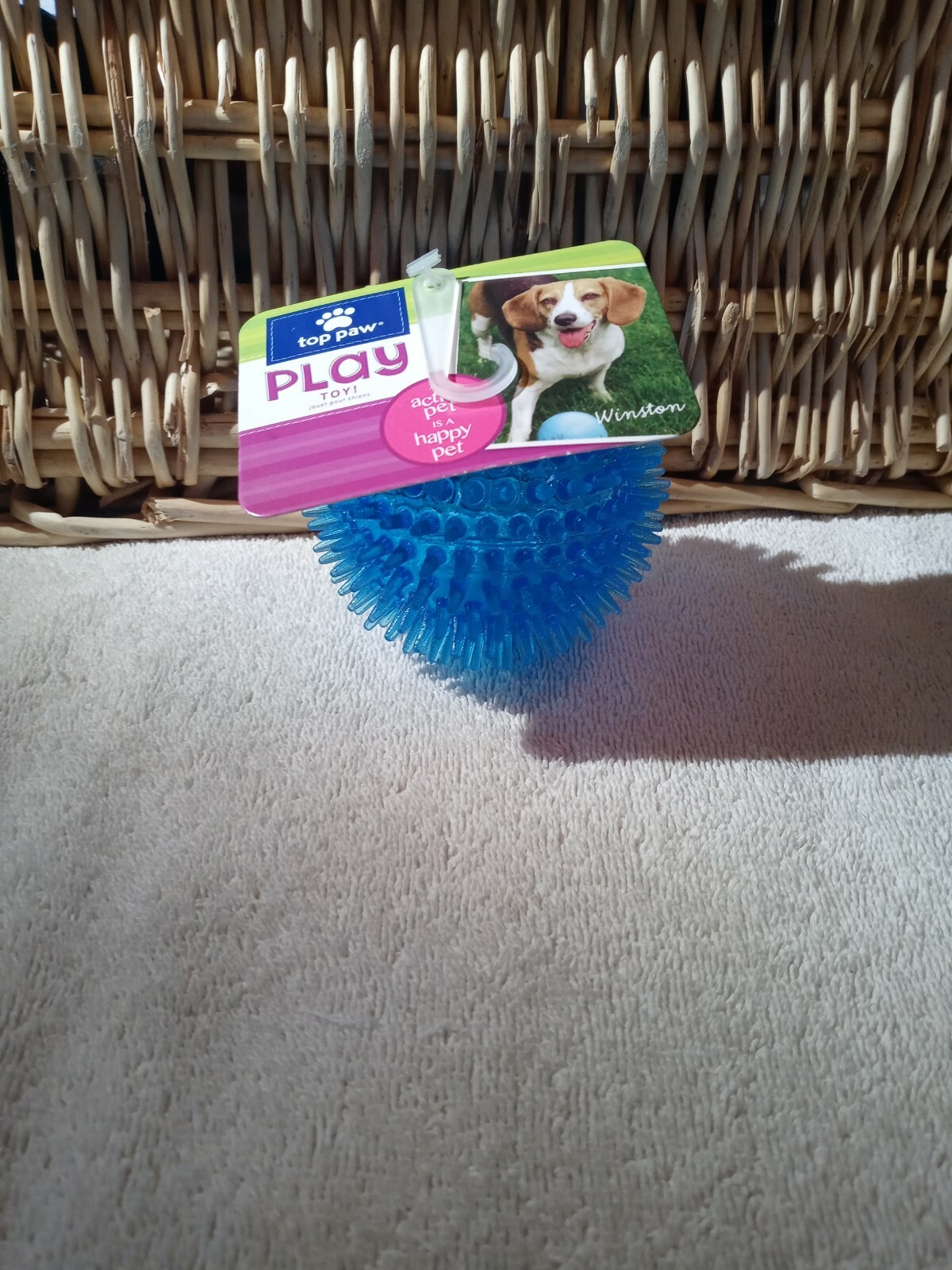 Top Paw Play Toy Dogs!