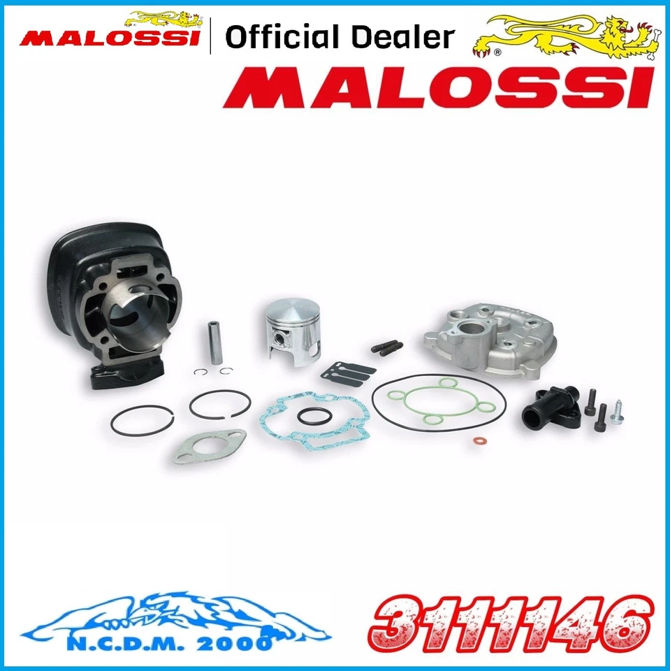 Thermal Group Ø 47 In Cast Iron Malossi Sp Ø 10 H2O Derbi Atlantis 50 2T LC Foto 2 de 3