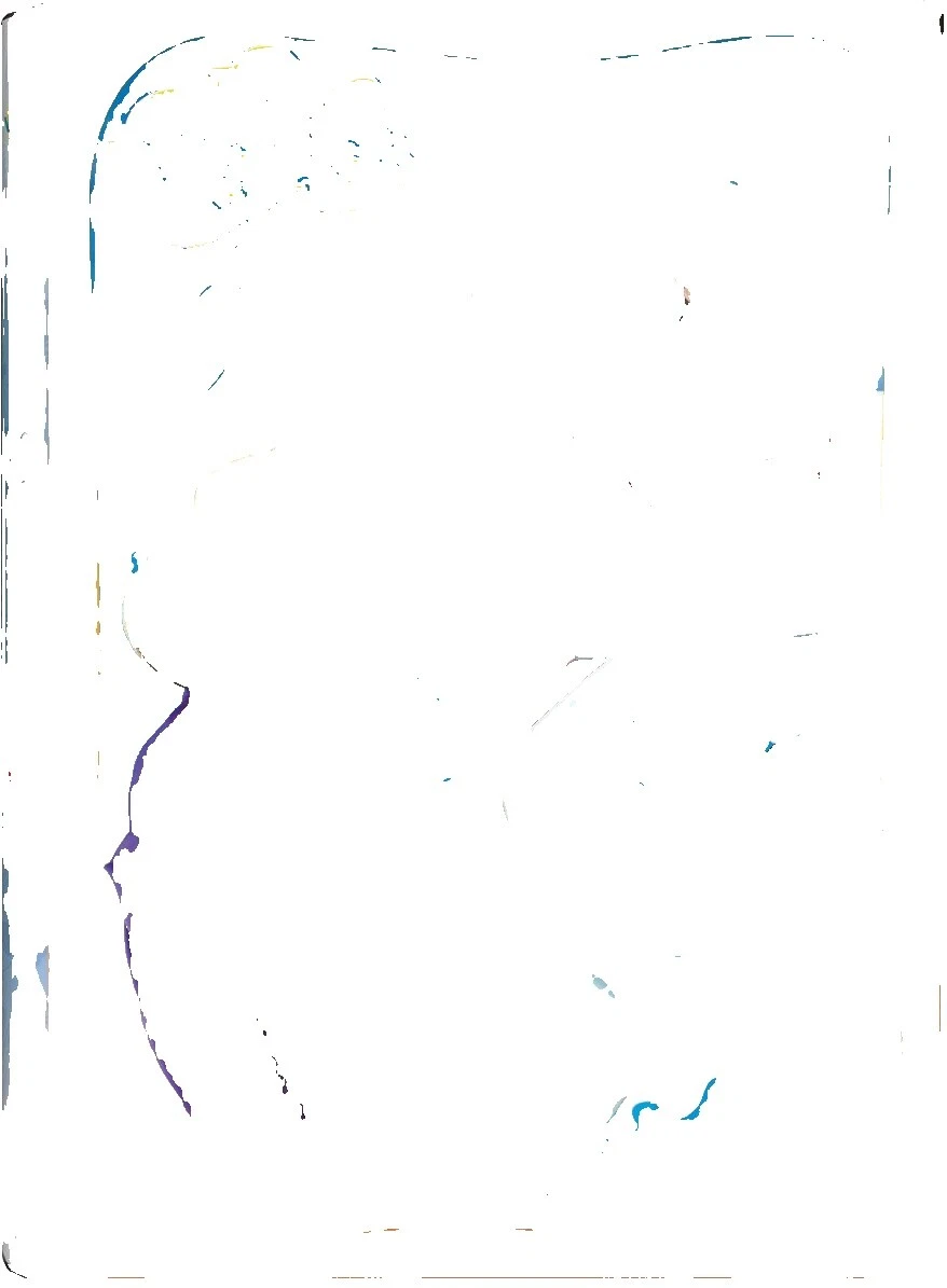 The Wiggles DVDs & Blu-ray Discs