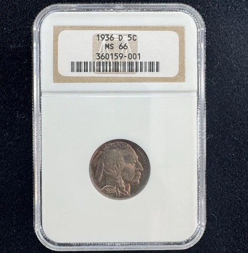 1936 D Buffalo Nickel Coin 5c Certified NGC Graded MS66 5 Cents Older Holder
