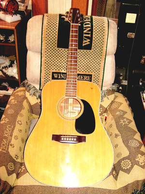 NICE Takamine Jasmine ES-60 Acoustic Electric Guitar Exotic Flamed
