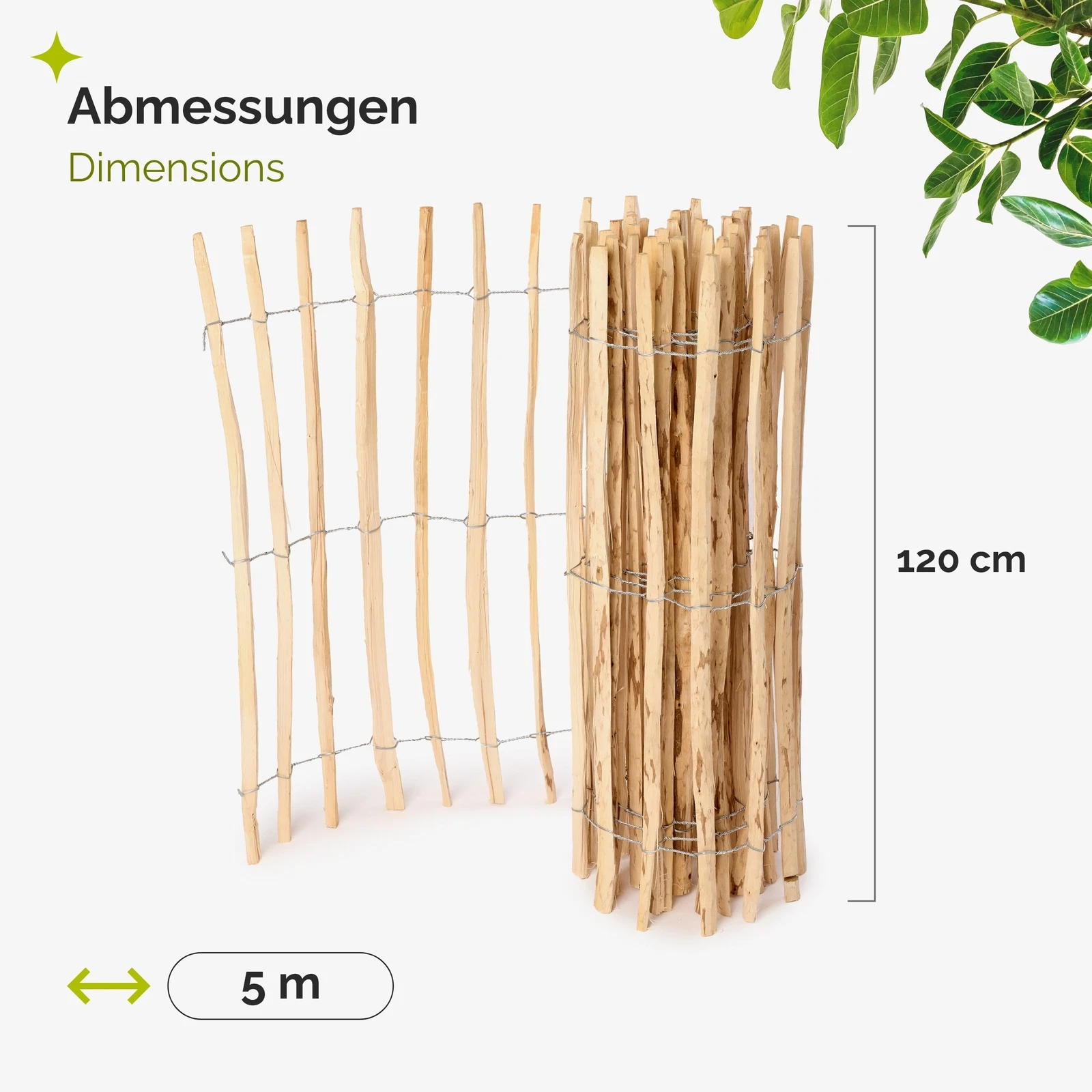 Bild 42 von 47
