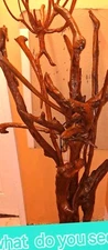 Unique One Of A Kind Handmade Coatrack / Driftwood/Petrified Wood Art