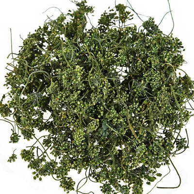 125g Ginseng Flower Herbal Tea Dried Panax Ginseng China Pure Nature Herbs Drink - Image 1 of 4