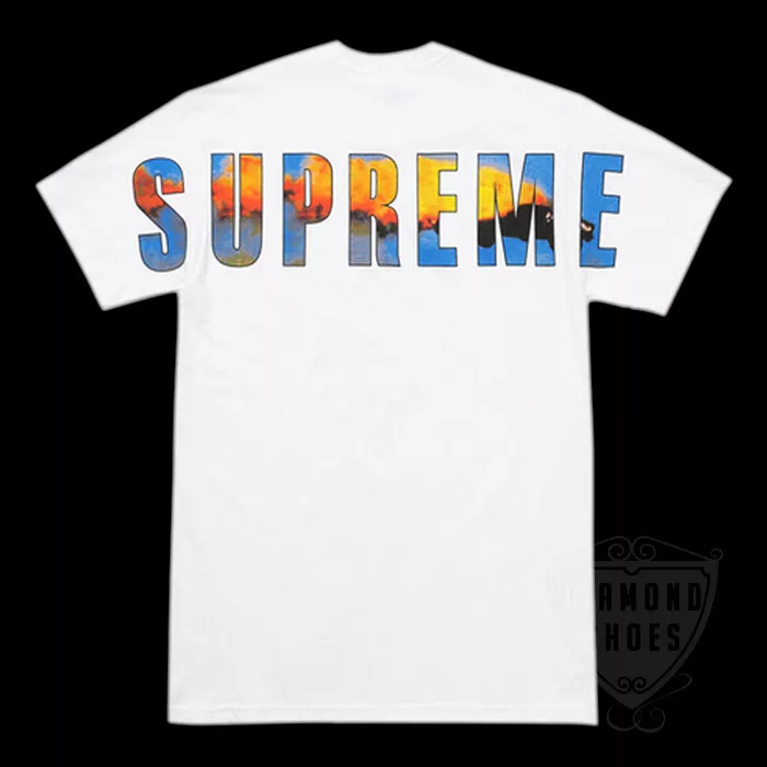 TEE SHIRT NEUF FW17 SUPREME CRASH BLANC MEDIUM M