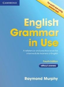 English Grammar in Use Without Answers: A Self-Study Ref... | Buch | Zustand gut