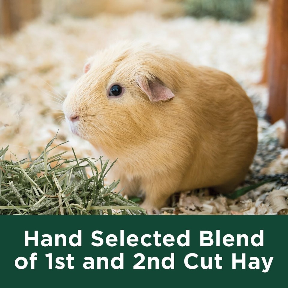 Kaytee All Natural Timothy Hay for Guinea Pigs, Rabbits & Other Small