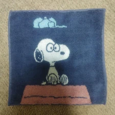 Snoopy Museum Mini Towel PEANUTS 75th Anniversary
