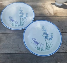 Lot of 2 Dinner plates The Cellar 4912 Japan R H Macy's Purple Blue Flower
