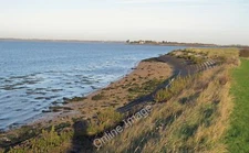 Photo 12x8 Creek, foreshore, river defences, footpath Osea Island A hint o c2011