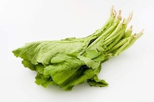 Florida Broadleaf Mustard Greens | 250+ Seeds to Grow | Made in USA, Ships from