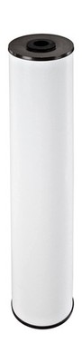 Pentair Pentek RFFE20-BB Big Blue Water Filter, 20-Inch, Whole House Radial F...