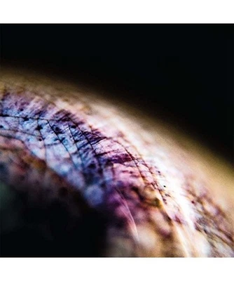 Skin (Ep+Mp3) [Vinyl LP]