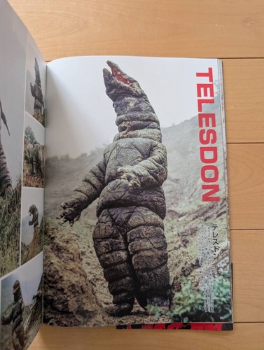 Ultra Fight Showa Ultraman Serie Secret Steel Fotobuch Referenz Sieben Monate - Bild 7 von 10
