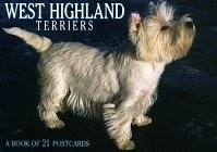 WEST HIGHLAND TERRIERS POSTCARD BOOK (FOR THE LOVE OF) By Browntrout Publishers