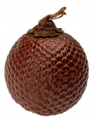 NaDeco Laranja Nuss ca. 5cm | exotische Dekoration | Naturdeko | Drehselholz