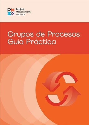 Process Groups: A Practice Guide (SPANISH) - 9781628257908
