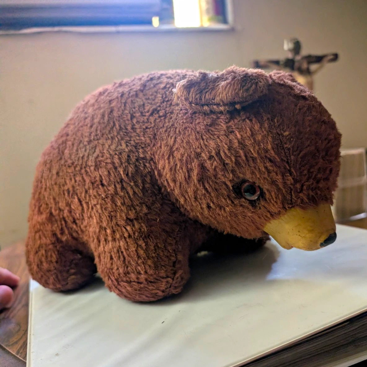 25+ vintage rubber bear for sale | Updated Oct 2026