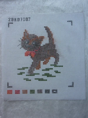 CANEVAS GROS TROUS A BRODER POUR ENFANT CHAT MARCHE 20 x 20 cm - Photo 1/2
