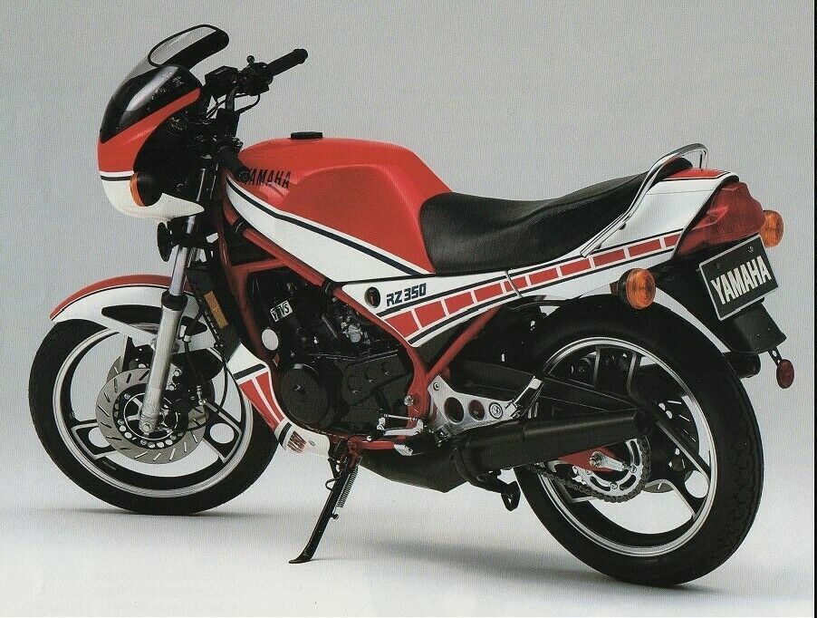 1984 Yamaha RZ350L (CANADIAN Model) Complete PIN STRIPING Decals