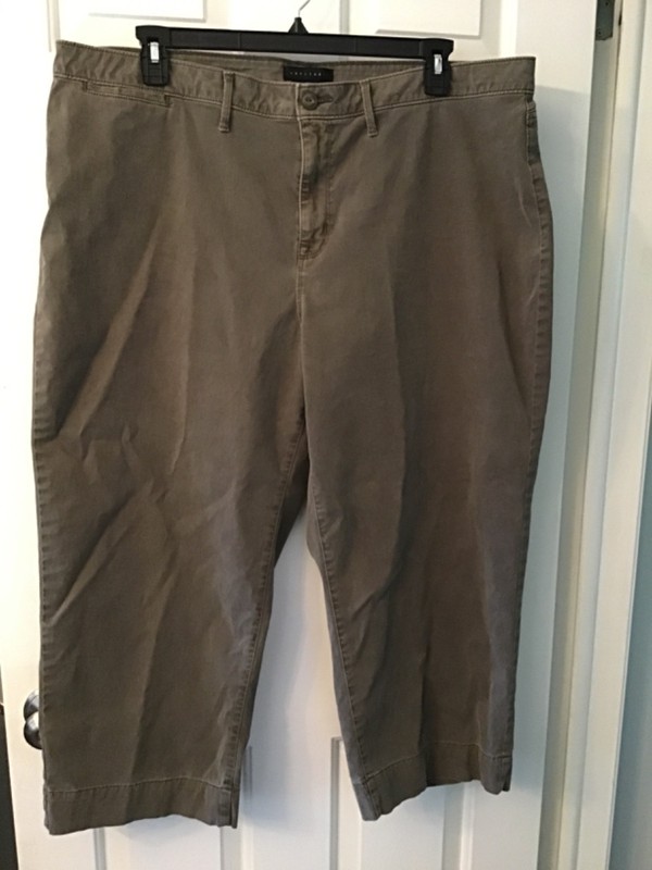 SANCTUARY Womens Green Curve Crop Wear To Work Pants Plus 20w