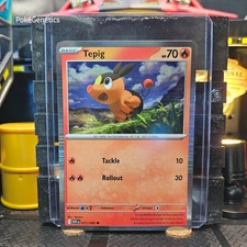 Tepig Promo White Flare Holo Pokémon TCG 011/086 SV11W Common